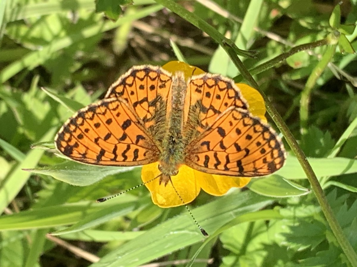 Tim Knight 🇺🇦 tweet media