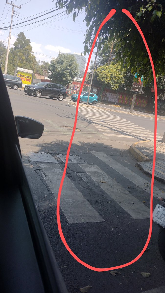 pacgio5's tweet photo. @SEDEMA_CDMX Muy buenos días, con ustedes puedo reportar unas ramas de un ficus que está bloqueando la visibilidad del semáforo? Muy peligroso al tratar de cruzar, ya que no sabes si está el alto o el siga, hasta que el vehículo está encima de las líneas peatonales. https://t.co/vJkuIN3BFC