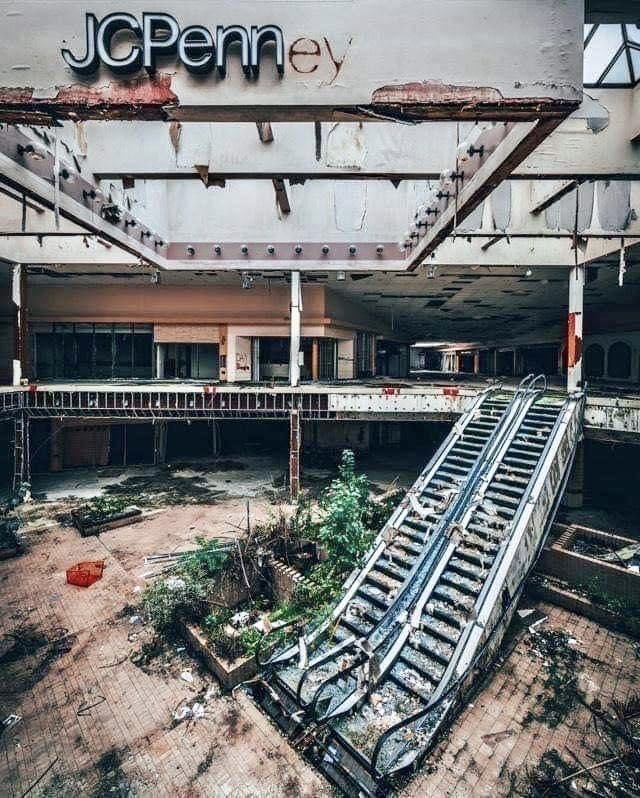 Aquarius Solrac tweet media