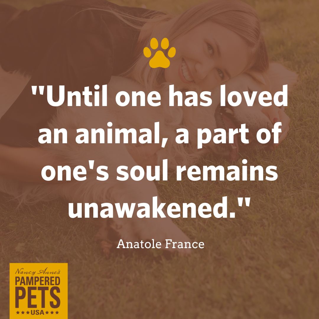 Until one has loved an animal, a part of one's soul remains unawakened. 

#dogquotes #doglove #pamperedpetsusa