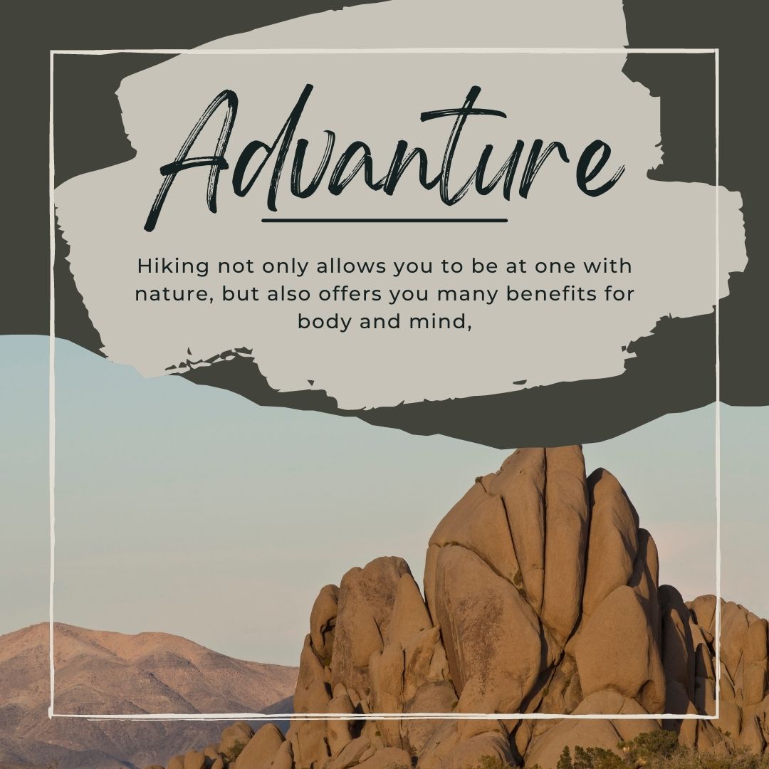 deanza_springs's tweet photo. Experience life to the fullest at DeAnza Springs Resort! 🤩 Explore luxurious amenities, up-close wildlife encounters, and an epic outdoor playground. Grab your family and come join the adventure. #DeAnzaSprings #DestinationAdventure Book your trip today: https://t.co/lF601Q0vXP https://t.co/Tyym4iafeN