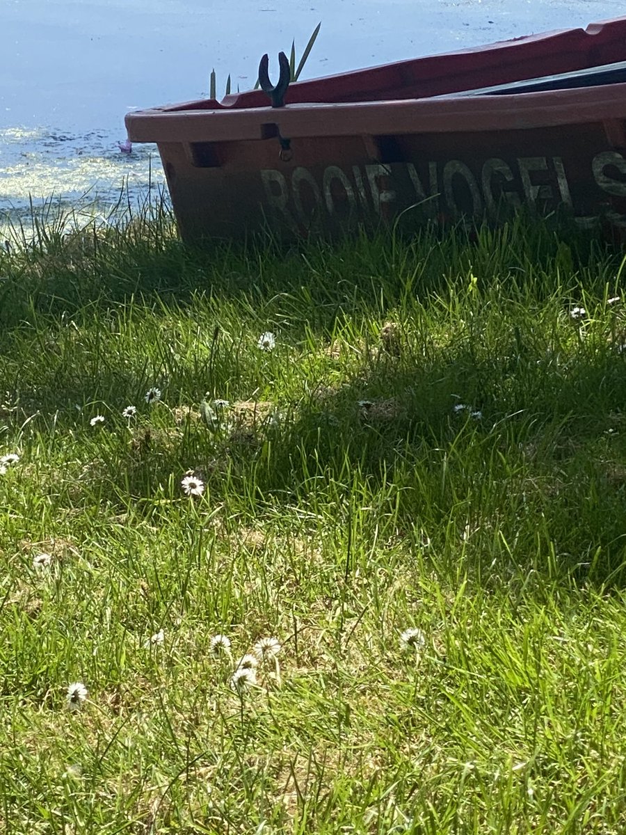 Bootje ligt klaar voor de rondvaart #ijsher