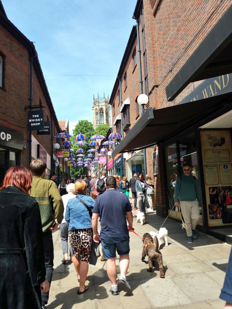 Love these 2 cities! #Durham #York #Umbrellas ☂️🇬🇧💜
Durham is so clean, no begging! Couldn't see many birds, perhaps lack of crumbs!🤔