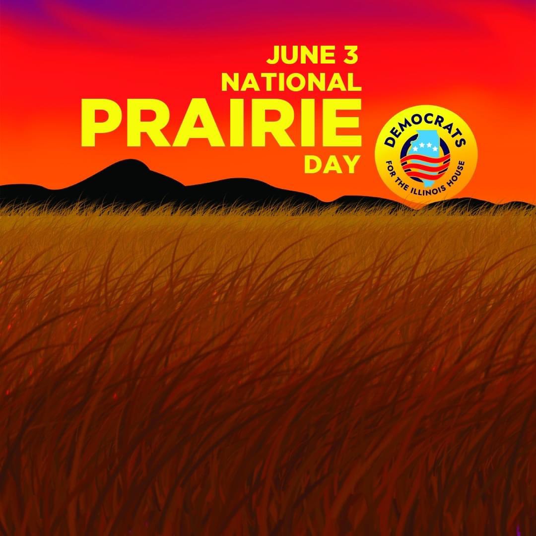 Jenn Ladisch Douglass tweet media