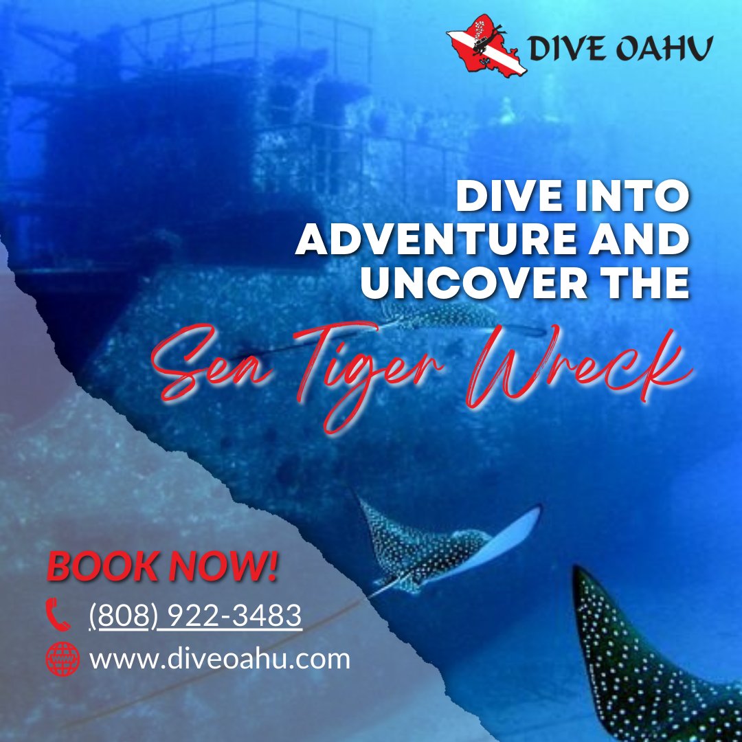 diveoahu's tweet photo. Experience the ultimate adventure and explore the fascinating Sea Tiger Wreck with Dive Oahu today! 

#DiveOahu #divingcenter #scubadiving #Hawaii #diving #surfing #snorkeling #divingclasses #PADI #PADICertified https://t.co/Wg4UgvocEf