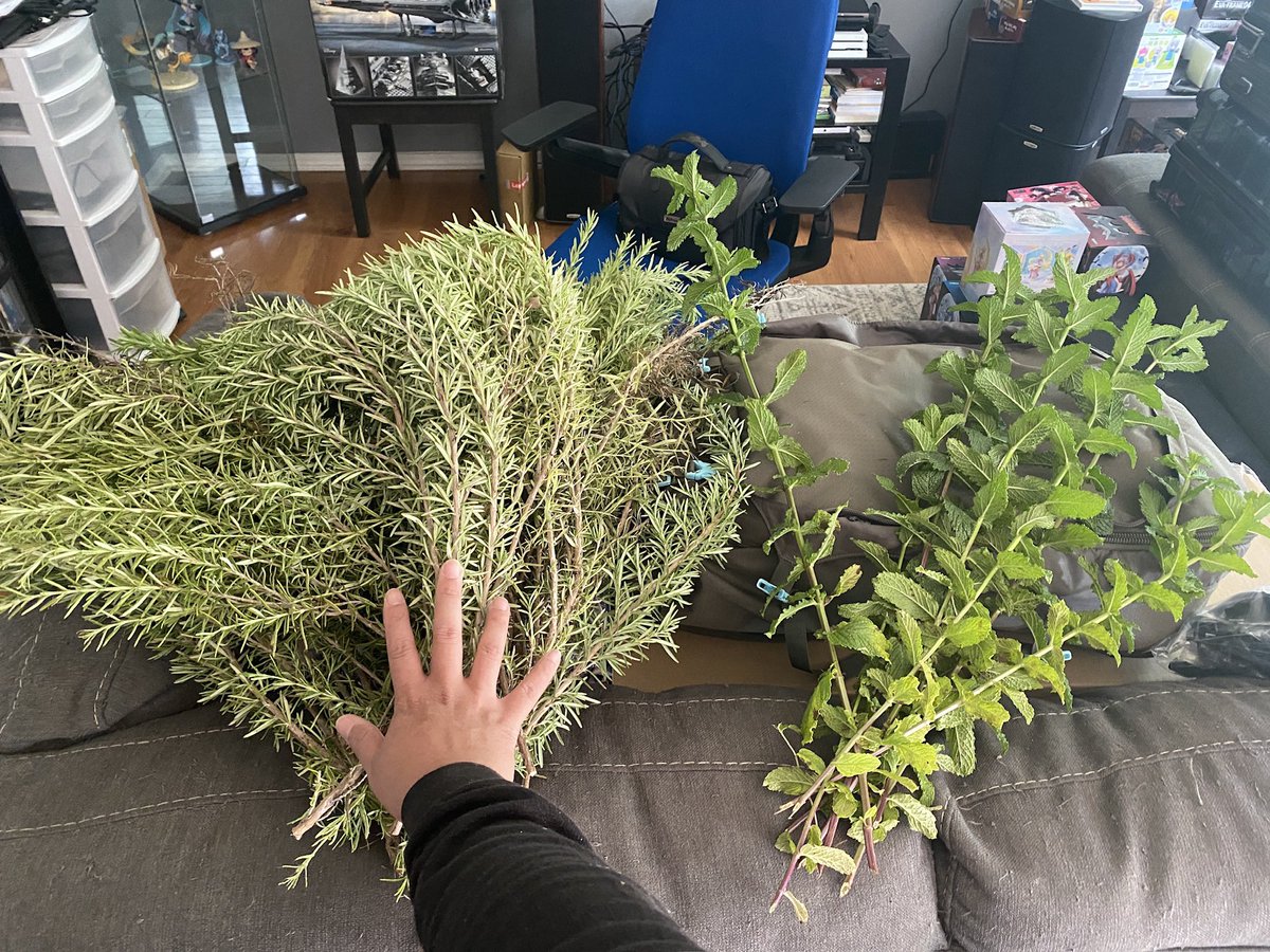 MomoplushVT's tweet photo. I thought 2023 was going to enter my villain era, but in reality I entered lesbian cottage core life. Behold, homemade crème fraiche, salted butter and harvested rosemary/mint combo! #cotagecore #homemadefoods https://t.co/74YGRgIzMV