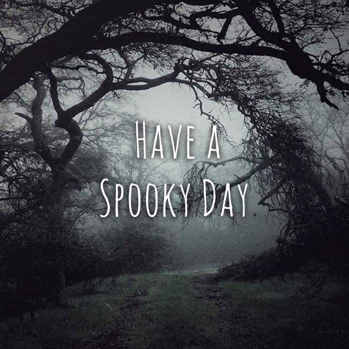 Xandyr73's tweet image. #HorrorFamily #MutantFam ##spookyfam