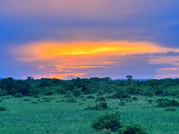 alex_kantonga's tweet photo. Nature is beautiful and the best thing to love.
#nolocation
@everyone https://t.co/bNKV7FbIAp