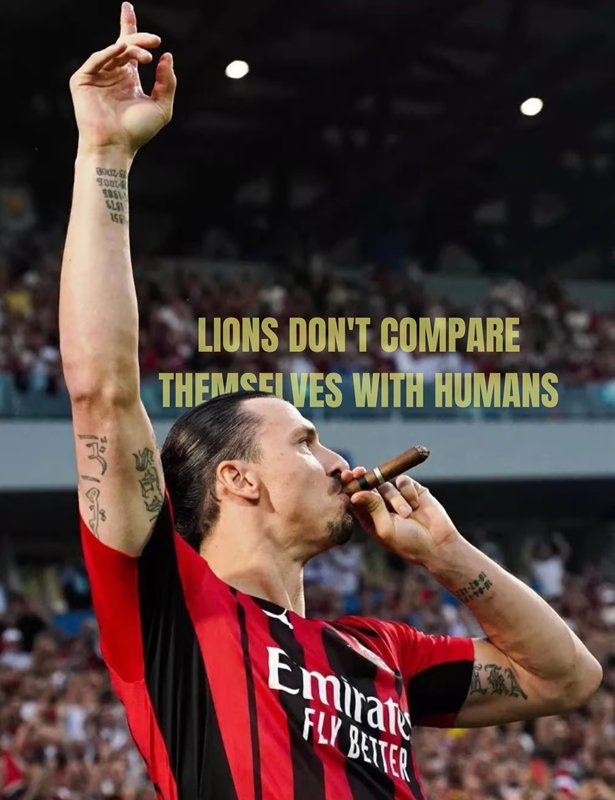 Almina_AB's tweet photo. #Zlatan #Ibra #Ibrahimovic  #ZlatanIbrahimovic 💖 https://t.co/ReiWsjJTqV