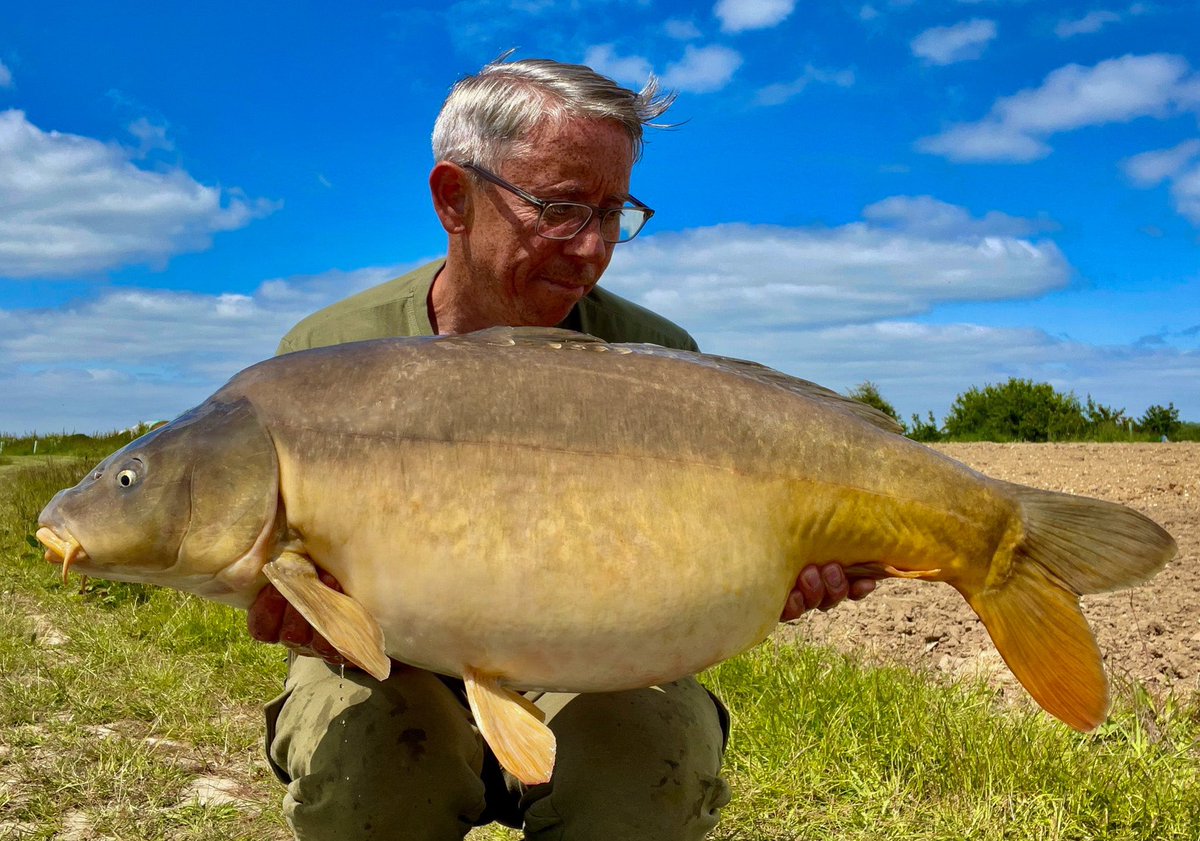 ESSEXCARPSYNDICATES tweet media