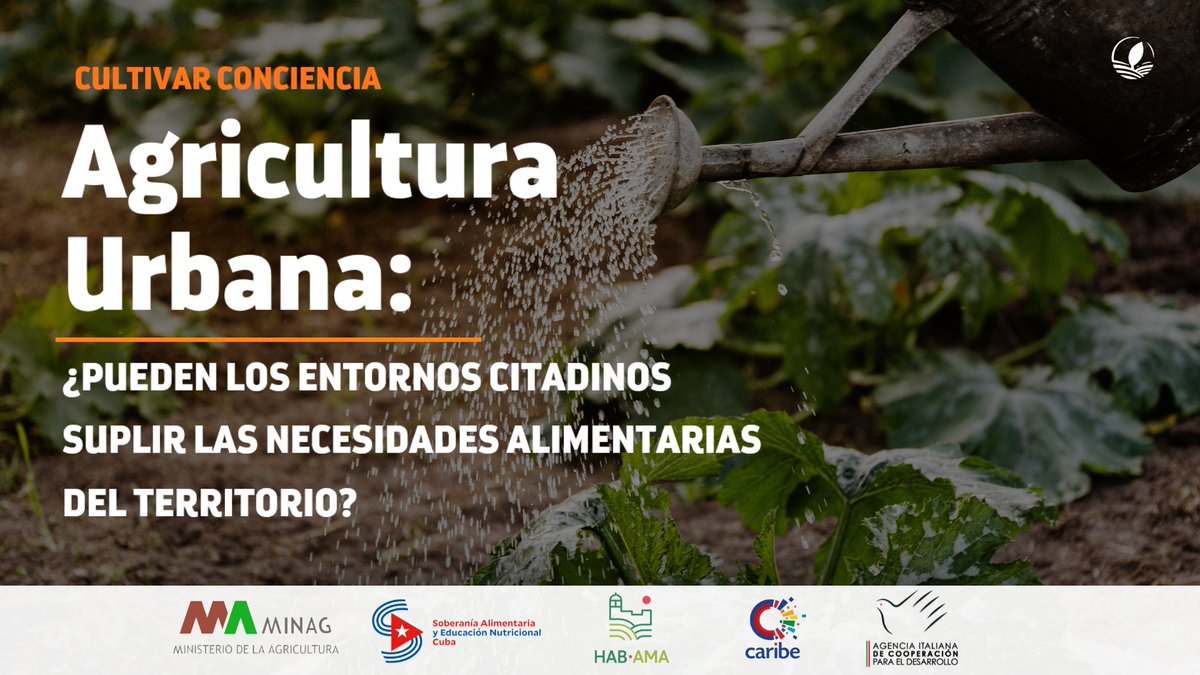 ¿Por qué un banco de germoplasma tributa a la seguridad alimentaria y a la #AgriculturaUrbana? ¿Cuáles son las investigaciones científicas que desarrolla #Cuba para mejorar los rendimientos productivos en las ciudades? 🇨🇺 🌱 #SoberaníaAlimentaria
👇🏻
youtu.be/csLekcJ6JM4