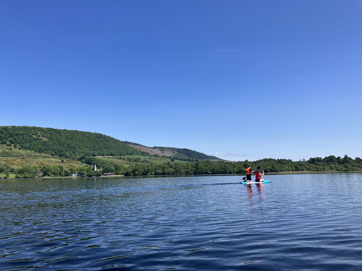 Tissue Repair PhD tweet media