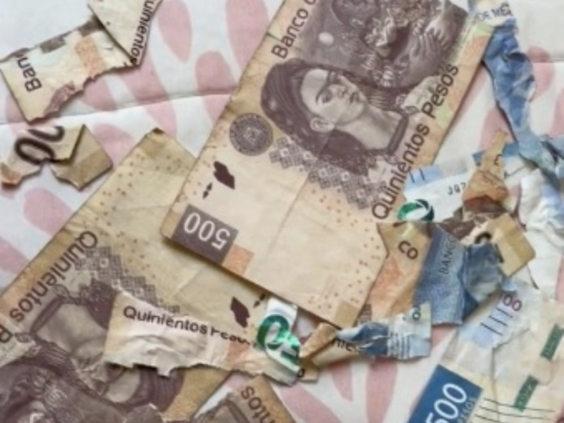 AntenaSanLuis's tweet photo. #Viral | ’No lo mat3s’, suplican por #perrito que se comió puros de a #500pesos de una #mexicana #VIDEO

"Las voces de mi mente me dicen mátal0, mátal0", escribió la usuaria en el post -> https://t.co/sUBw1wOU0n https://t.co/tNCorWlolY