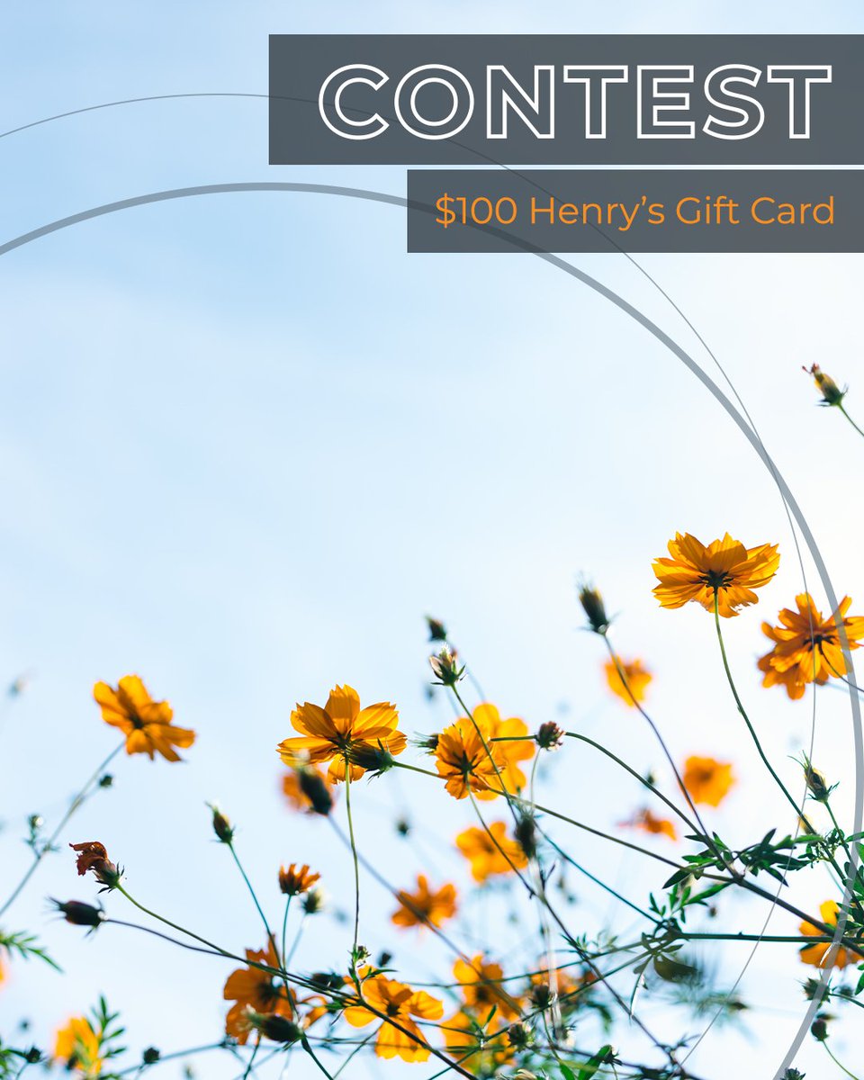 It's Saturday and that means it's time for one person to win a $100 Henry's Gift Card. To enter, all you have to do is:⁠
⁠
1. Follow <a href="/HenrysCamera/">Henry's</a>⁠
2. Tag your photo/video BFF⁠
3. RT this post
⁠
The winner will be announced next week!⁠