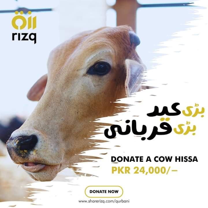 Join hands with Rizq and donate a 'hissa' in cow to bring blessings and abundance to those in need. Your contribution will not only provide sustenance but also empower communities.

Donate Now: sharerizq.com/en/qurbani

#barieidbariqurbani #DonateAHissa #Donate #EidUlAdha #rizq