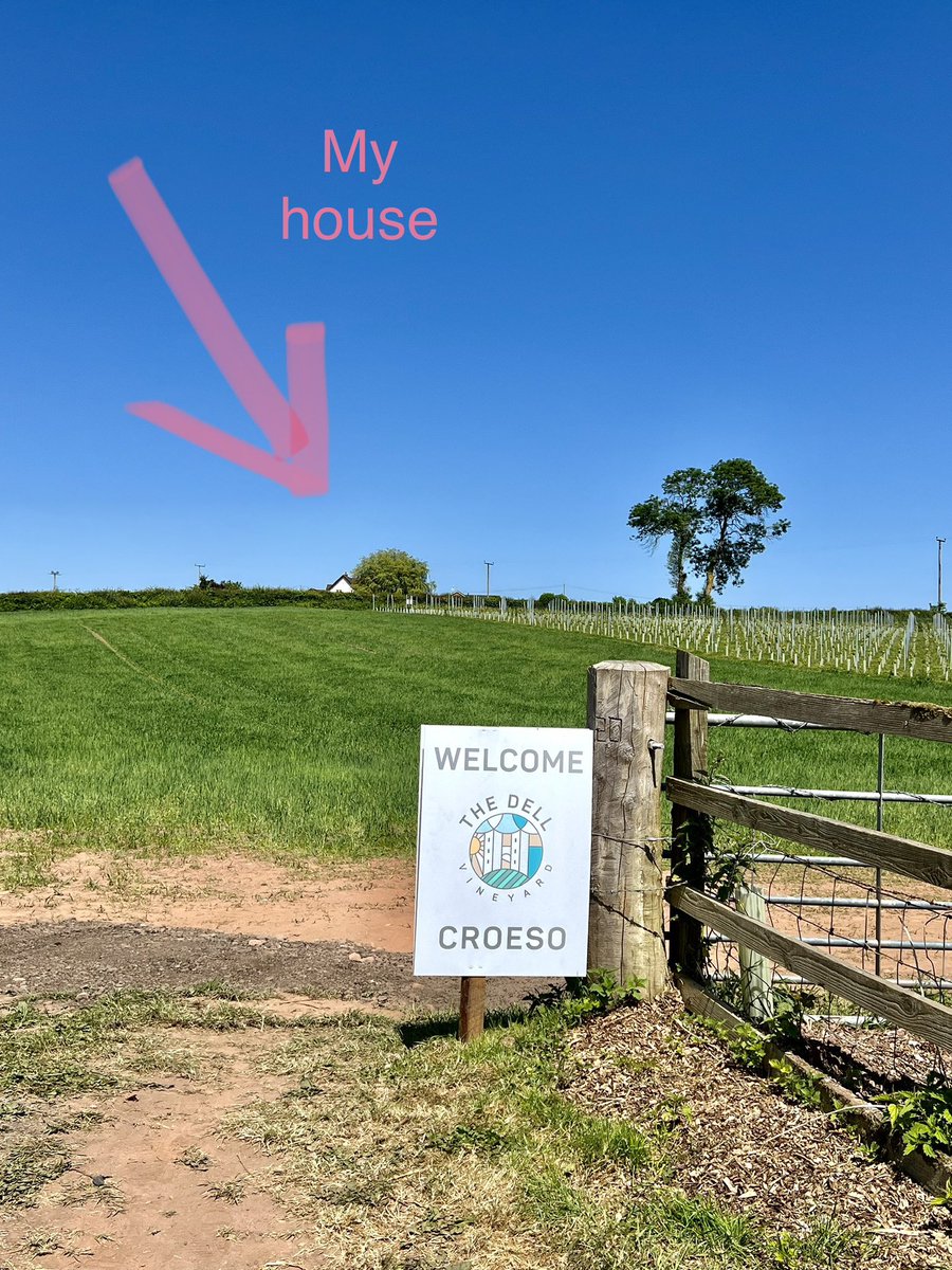 Vicki Spencer-Francis tweet media