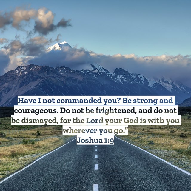 JeremyLouis's tweet photo. Trust in God https://t.co/cNZ71MS4qo https://t.co/UdJD0NKmBG