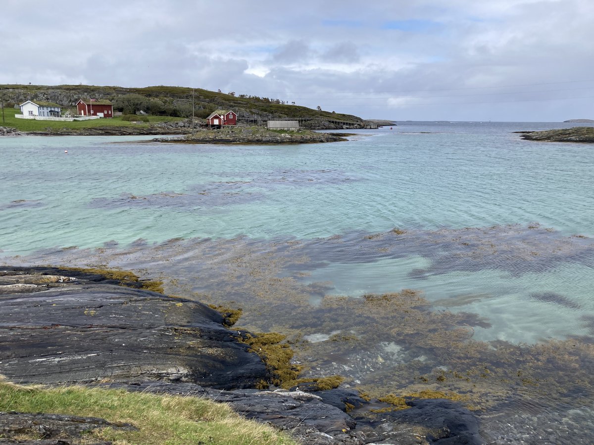 JanSueselbeck's tweet photo. Strandbilder aus #Lovund, heute. https://t.co/5S9QpDS7dk