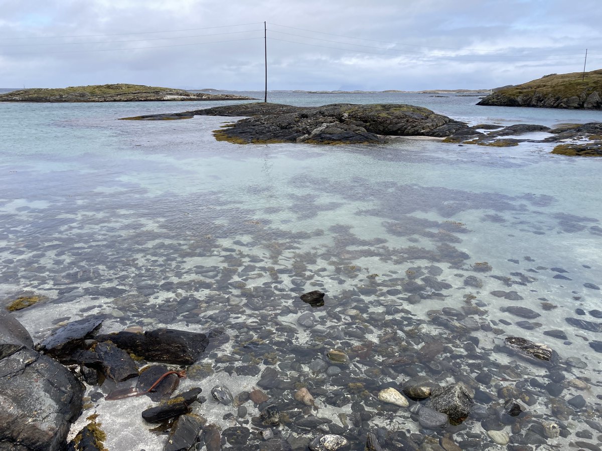 JanSueselbeck's tweet photo. Strandbilder aus #Lovund, heute. https://t.co/5S9QpDS7dk