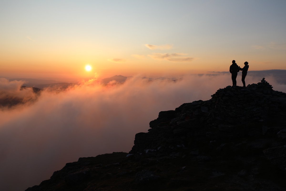 Iain Cameron tweet media