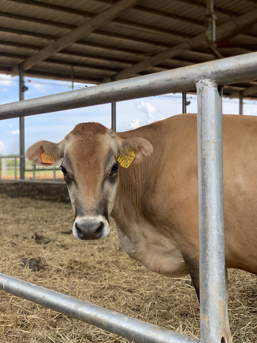 Sangwa Sifa Florence on Twitter "6. Among the notable achievements of the hub is its