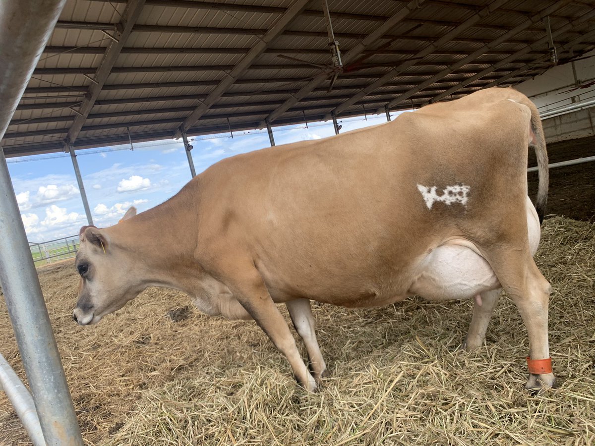 Sangwa Sifa Florence on Twitter "6. Among the notable achievements of the hub is its