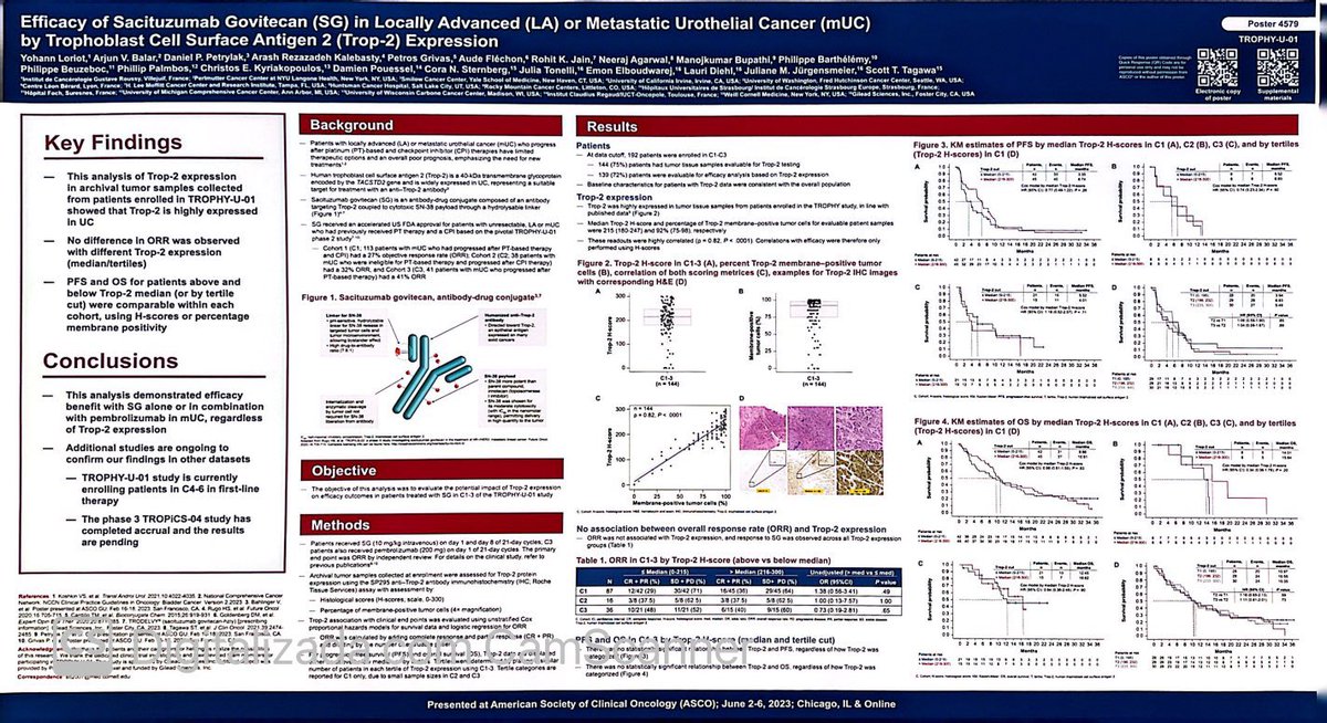 Efficacy of sacituzumab govitecan according to Trop-2 expression in mUC. Very interesting to see that no correlation was seen for ORR, PFS or OS and Trop-2 expression #ASCO23