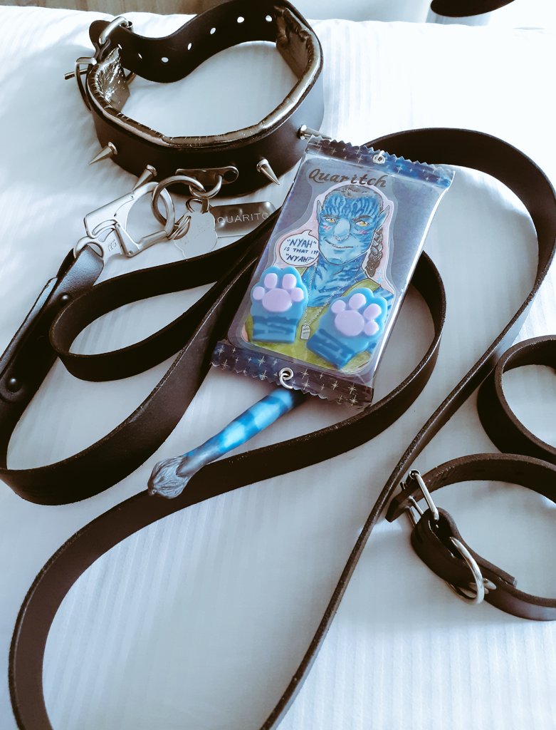 Killveous's tweet photo. AAAAA Look at the collar and leash I got from FudgeBuilds! And even the custom tags made for me 💙💙💙 matches the wrist cuffs I've been wearing in my Miles Quaritch gear and my badge 😭 this is how CFZ and RecomWeek ended lol
#milesquaritch #colonelquaritch #CFz2023 #RecomWeek https://t.co/6FOmqIW8al