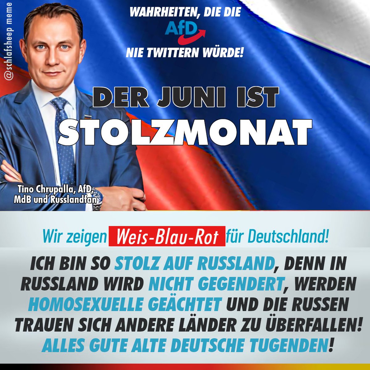 Schlafsheep 📯 on Twitter: “#Stolzmonat Die AfD ist stolt auf #Russland