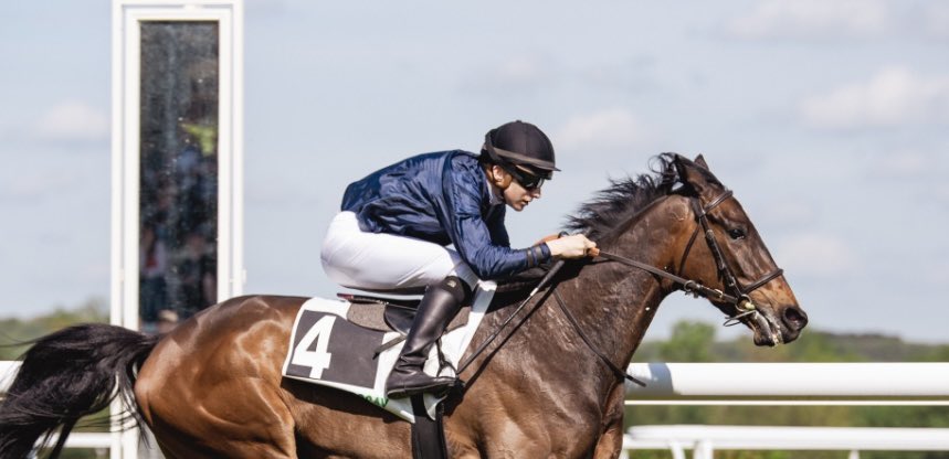 lefebvrefabien1's tweet photo. 🌟100%🌟 on Wednesday at Dieppe🇫🇷
- 4th place with #OnlyHim - Écurie Adélaïde BUDKA
My Little Truck - You Dada, We care
Photo: Benjamin Dupuy Photographe https://t.co/tCXroXLtub