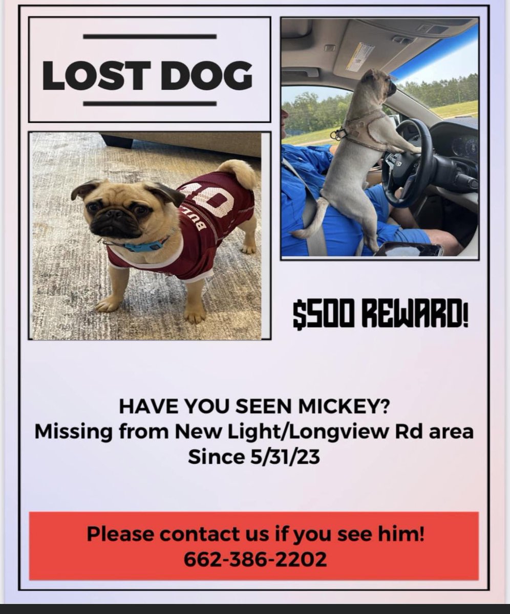 KimSmith713's tweet photo. MISSING IN STARKVILLE!!! Please help
Find Mickey!!! He had a collar on with his mom’s information!!! @lynn_spruill @ochsms @SBCoffeehouse https://t.co/M6DPCSaXmK