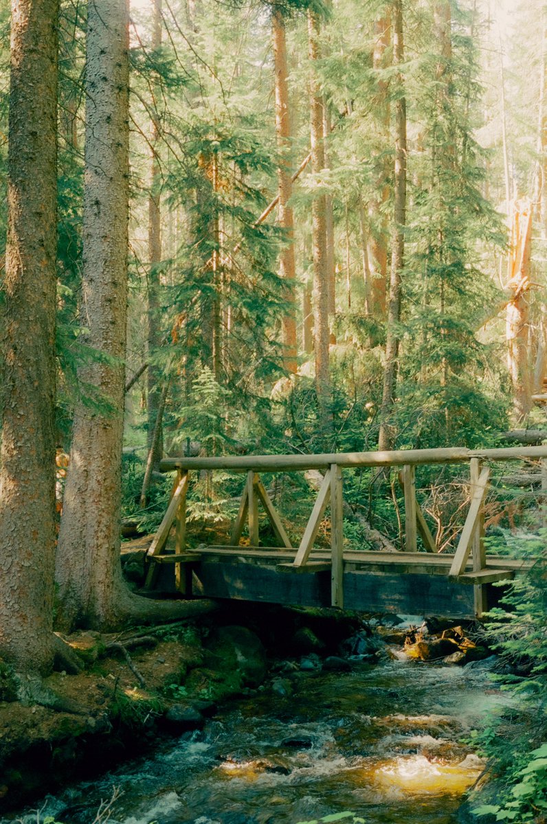 AlexKittoe's tweet photo. Colorado greens on 35mm https://t.co/Wv6U4HzETJ