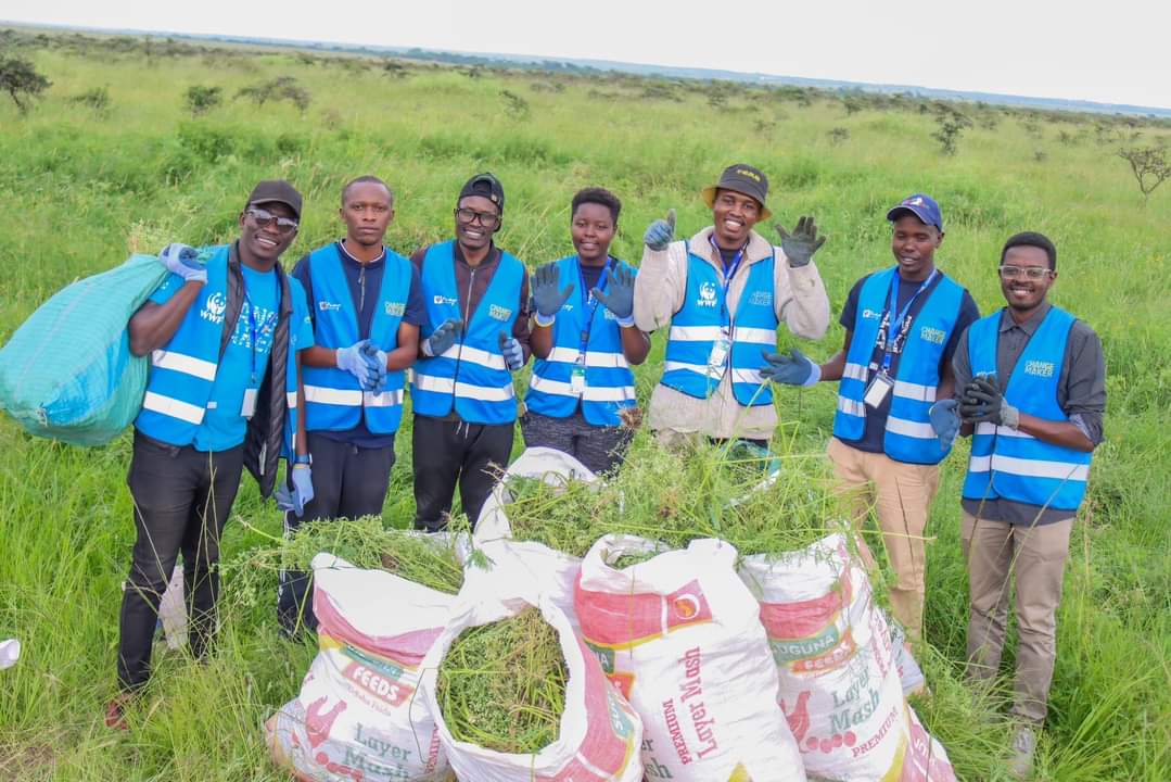 ke_asili's tweet photo. Community is strength, and that is our pillar as Asili. Super grateful to have gotten the chance to help out the removal of parthenium hosted by @SUSOyouth 🙏🌳💯. at Nairobi National Park. #generationrestoration #climateaction #climatefocus #youthinclusion #asili @UNEP @un https://t.co/KBhqO9PWyr