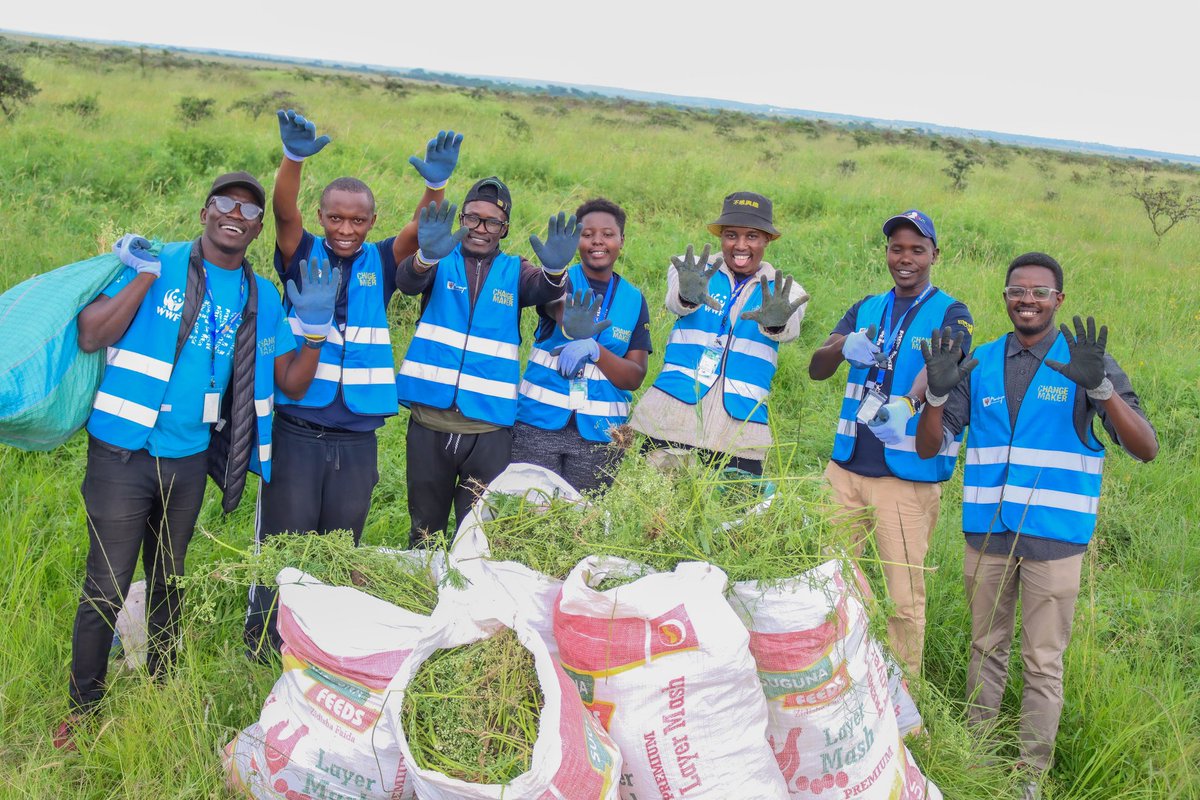 ke_asili's tweet photo. Community is strength, and that is our pillar as Asili. Super grateful to have gotten the chance to help out the removal of parthenium hosted by @SUSOyouth 🙏🌳💯. at Nairobi National Park. #generationrestoration #climateaction #climatefocus #youthinclusion #asili @UNEP @un https://t.co/KBhqO9PWyr