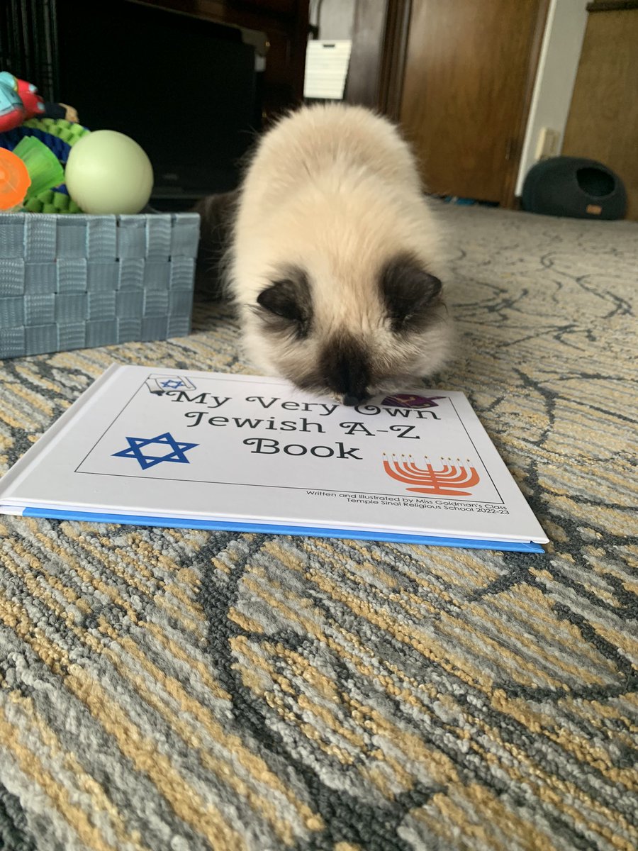missgoldman19's tweet photo. I have some #ProudAuthors @studentreasures helped my two classes publish their first books and I think they already found an interested reader! @sinaisharon @JosephMeszler @ClassroomChamps @JWallace_USA #authors #bettergetsbetter #werepublished #authors #studentreasures https://t.co/o61XX2zc3u