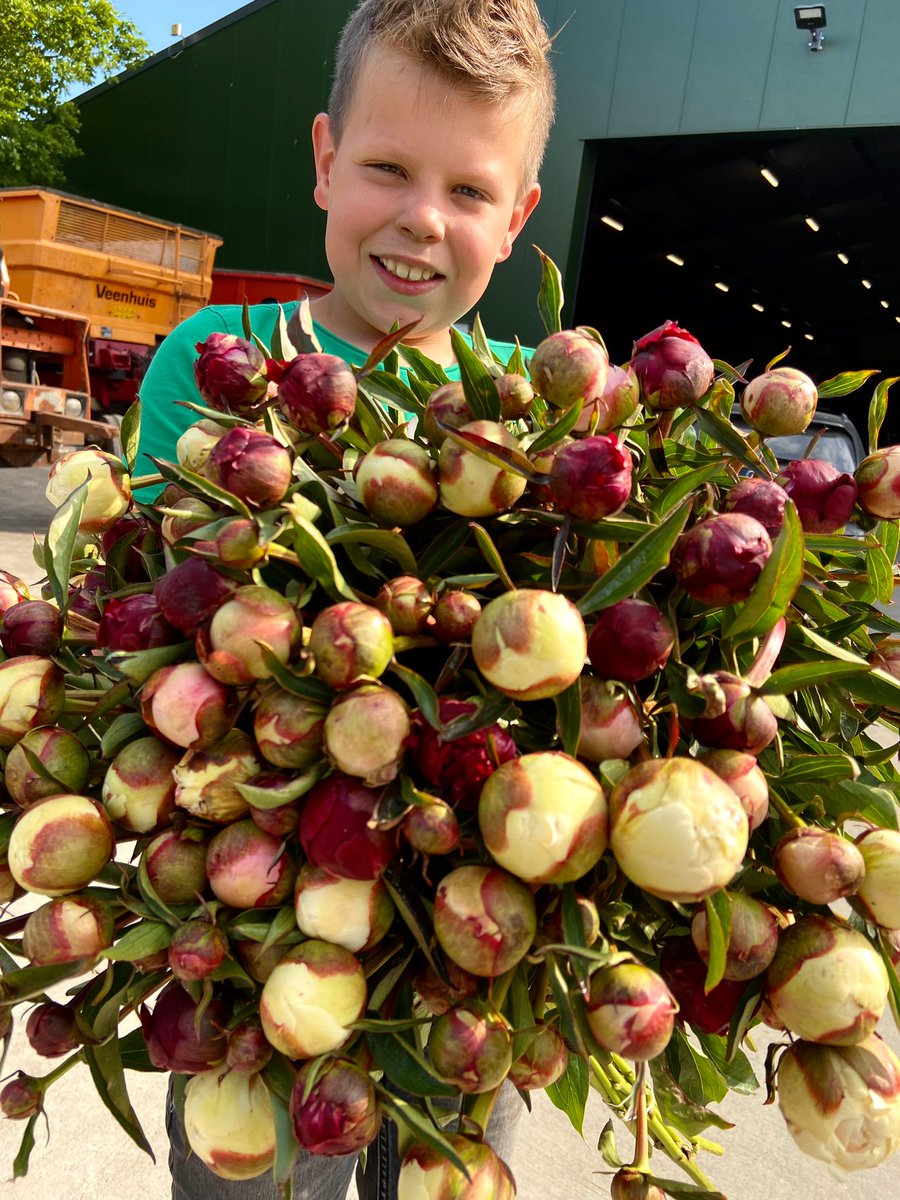 MtsJoling's tweet image. 🌸✨JOEHOEE✨🌸 

Goedemiddag...
Vanaf vandaag ook gemengde bossen!  
En allemaal leuke nieuwe kleurtjes. 

Gemengde bossen €7,- 

Gewone bos 1 voor €4,-
3 bossen voor €10,- 

📍Vaartweg 93 in Smilde 
📍Achter de bargen 1 Dwingeloo 

#pioenrozen #tekoop #platteland #landleven