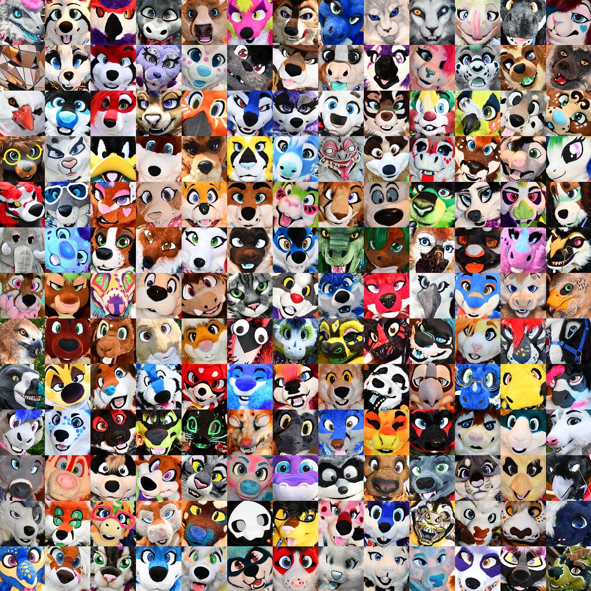 The Faces of ConFuzzled 2023.

Managed to get 169 of you into this, which is just a fraction of all the fursuits in attendance.

#CFz2023 #Confuzzled2023