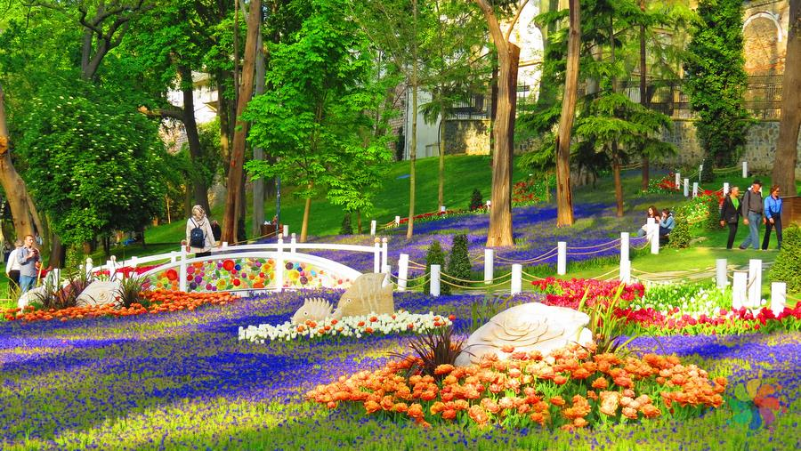 yurtseverkan's tweet photo. Topkapı and Gülhane Park are places that are always visited together. Of course, as a result of this magnificent union, the memory of the cameras is full of frames that you can't get enough of looking at. Don't forget to like for more beautiful photos https://t.co/V3VawQrZPw