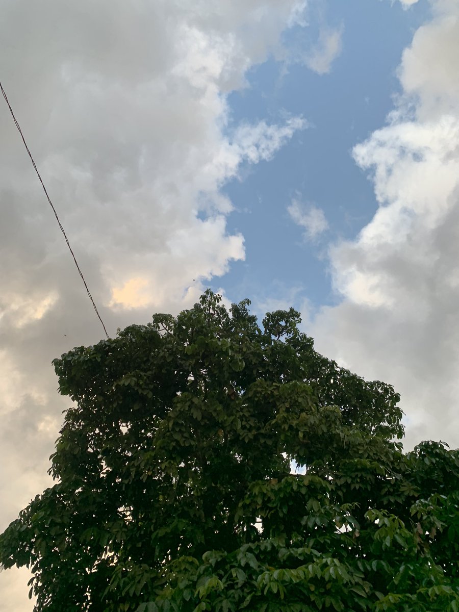 DriperCraft's tweet photo. @SouEuYuKi Foto da arvore edo céu 🫠 https://t.co/e0aebD0G4q