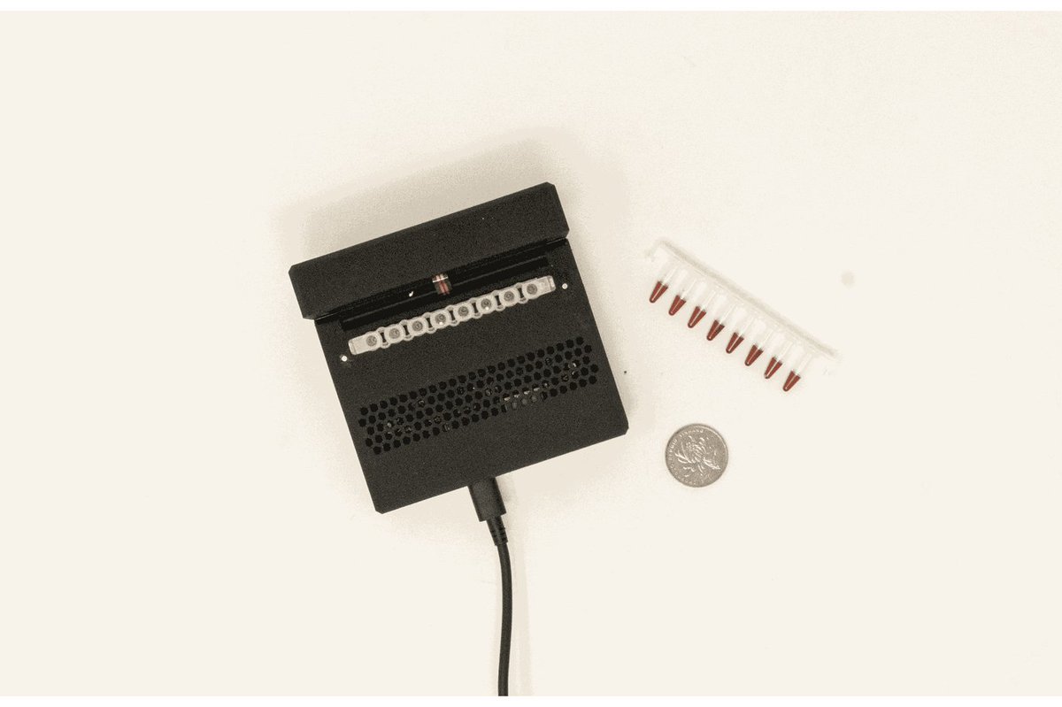 Fran Quero tweet media