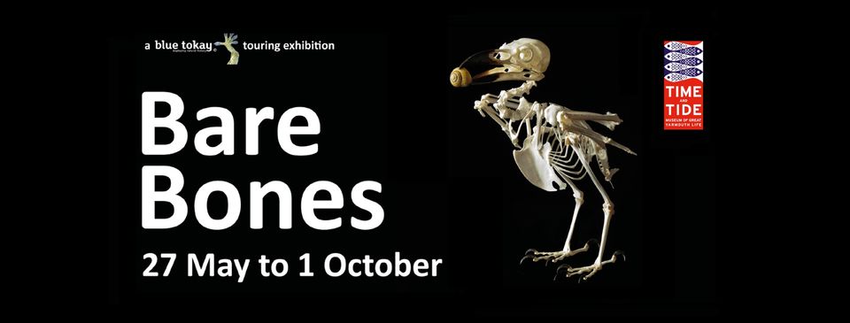 We are open 10am-4.30pm daily at @timetidemuseum  
New exhibition now on show - Bare Bones from @BlueTokay Read more here museums.norfolk.gov.uk/time-tide/what…
We hope to see you soon!