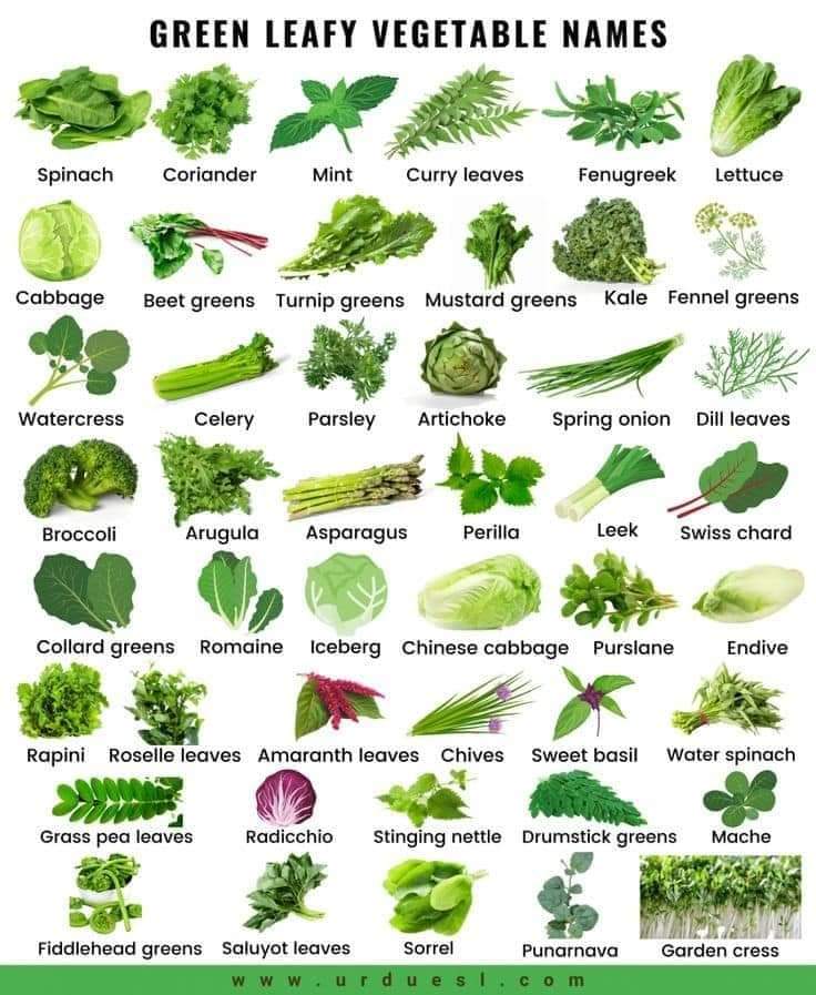 jacques_behar's tweet image. A Quick Guide in Herbs & Green Leafy Vegetables 🧑🏻🍳😁
#cheflife #quickguide #saveitforlaterifyouneedit