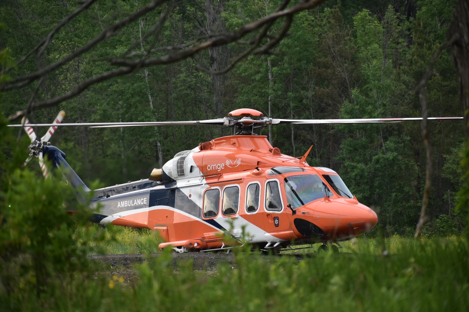 At the Scene Photography on Twitter "In Oro Medonte last evening where