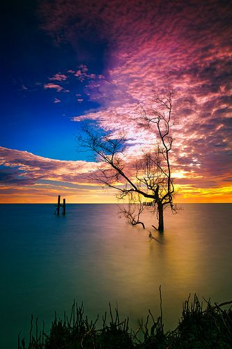 BeachcatTt's tweet photo. Good morning. Be still and know He is God! I pray you have a blessed day. https://t.co/jZSQ2XfpPn