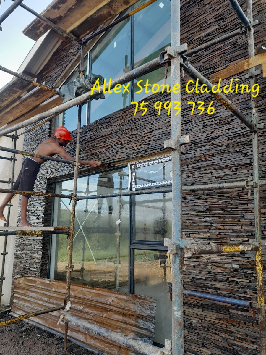 AllexAl6989 tweet picture