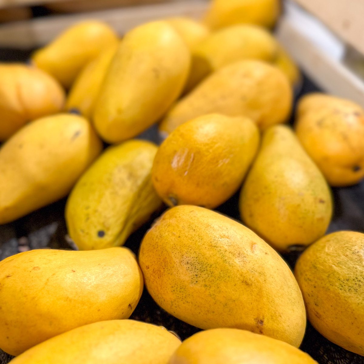 We have Organic Ataulfo Mangoes in stock and on special this week! Now $1.19 each! Mangos are rich in vitamin A,B and C. Did you know that all of our produce is either local (within 100 miles) or organic?! 🥭
.
.
.
#organicproduce #mangoes  #rvagrocery #eatfresh #organicfruit