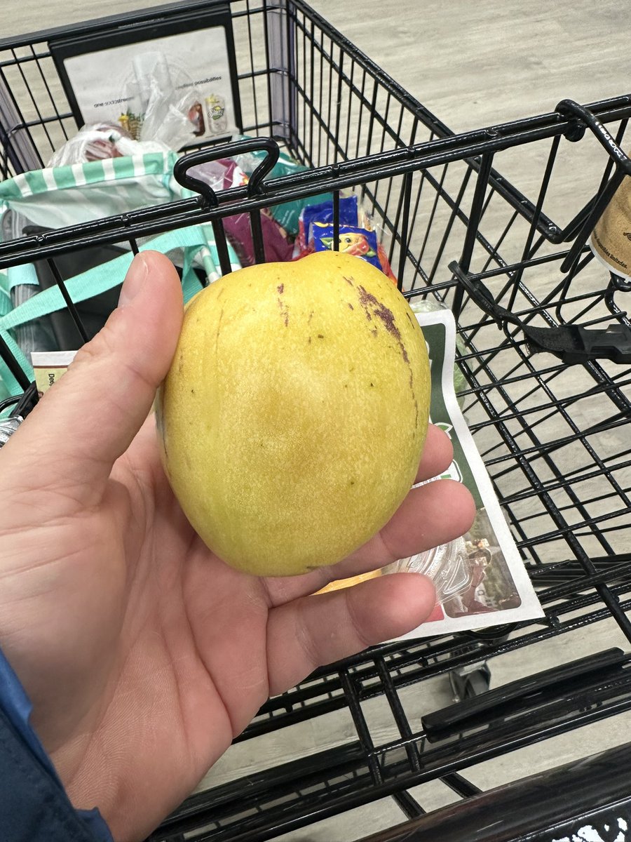 MoshJoody's tweet photo. Fruit reviews are making their return today. Alert the press. Look for the review this afternoon. 
#fruitreview
#itsback
#pepinomelon https://t.co/PxJZdn1dFX