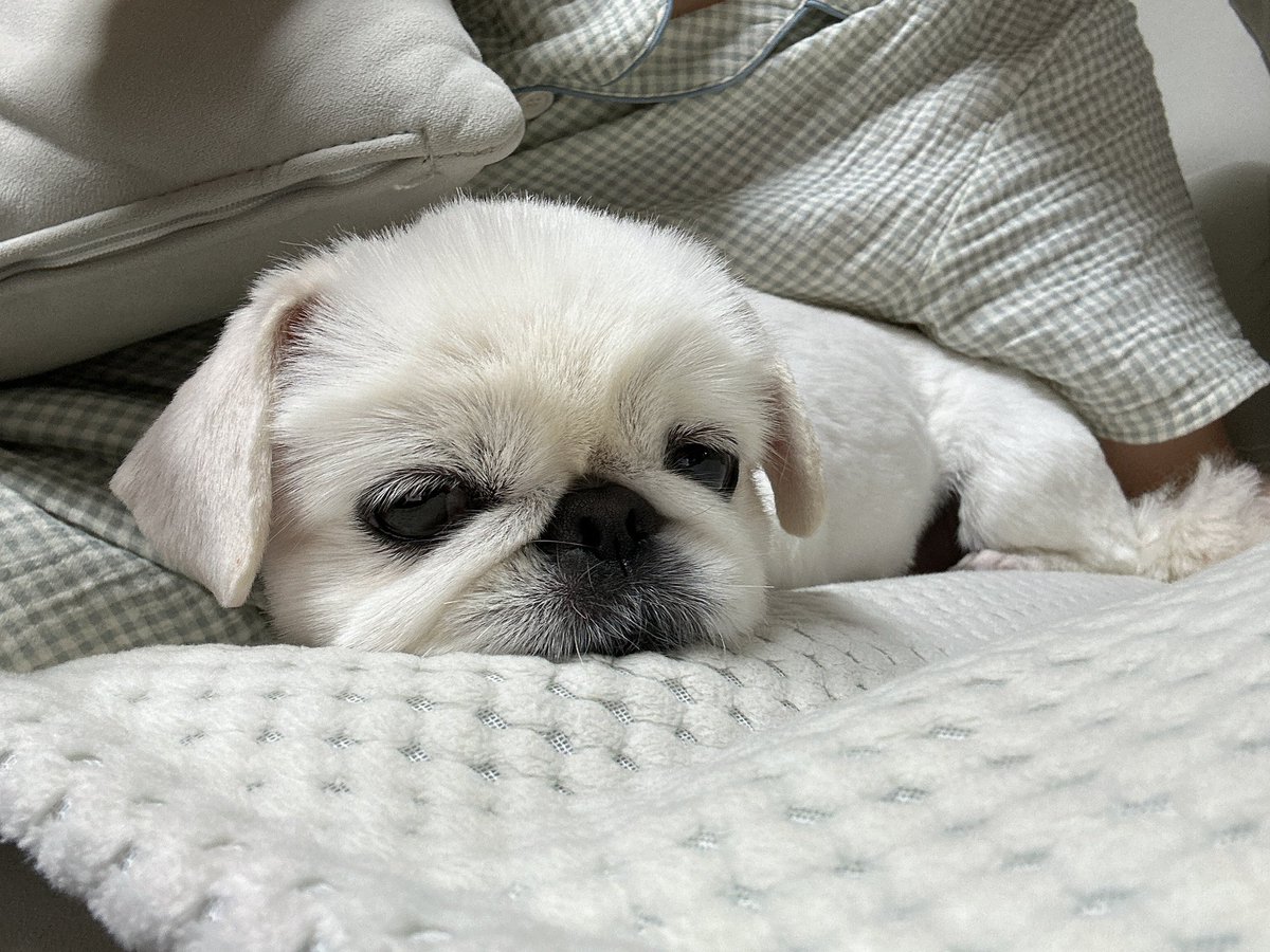 OmegaX_members's tweet photo. [#OX]

Sleep well :)

#OMEGA_X #오메가엑스
#정훈 #JUNGHOON https://t.co/ittOE0LX5M
