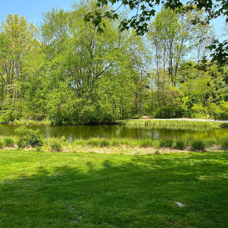 Come down this weekend and step into a work of art. Enjoy a walk in nature for a great day. Head to your tent at the top of the mountain and enjoy the view. Green in early summer 🌲🌳