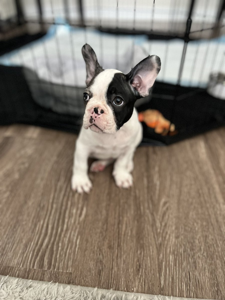 Lacey Walker tweet media